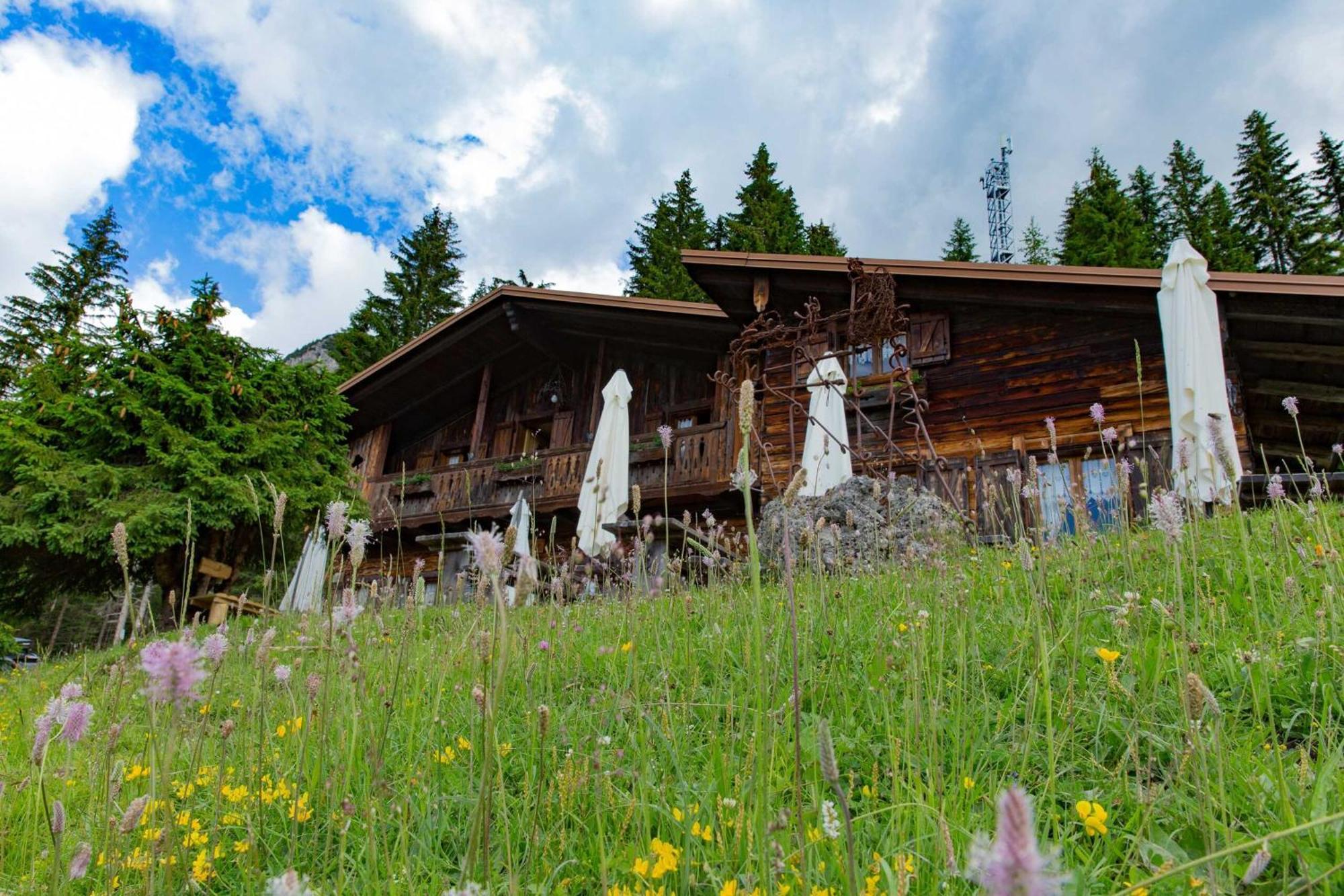 Hotel Rifugio Forcella Zovo San Pietro di Cadore Exterior foto